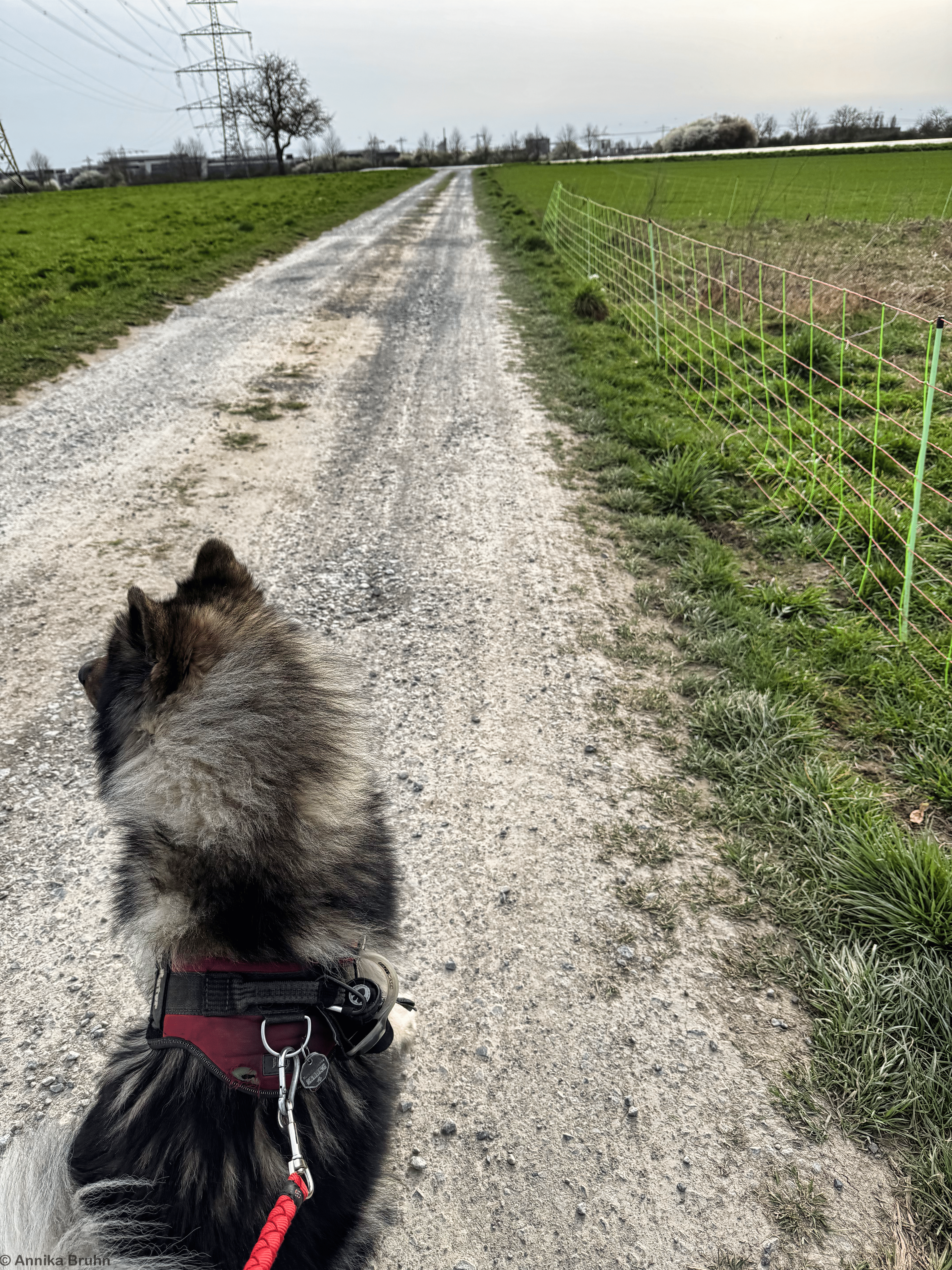 Interessiert mich nicht